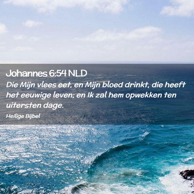 Picture 02 - Johannes 6:54 NLD - Die Mijn vlees eet, en Mijn bloed drinkt, die - Bible Verse Picture