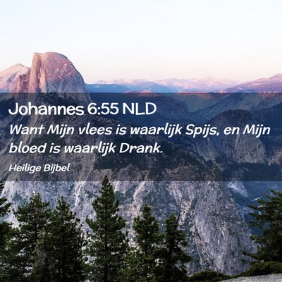 Picture 02 - Johannes 6:55 NLD - Want Mijn vlees is waarlijk Spijs, en Mijn bloed - Bible Verse Picture