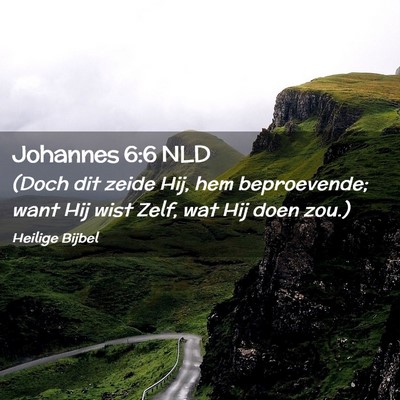 Picture 02 - Johannes 6:6 NLD - (Doch dit zeide Hij, hem beproevende; want Hij - Bible Verse Picture