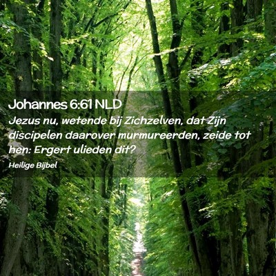 Picture 02 - Johannes 6:61 NLD - Jezus nu, wetende bij Zichzelven, dat Zijn - Bible Verse Picture