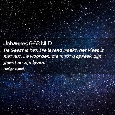 Picture 02 - Johannes 6:63 NLD - De Geest is het, Die levend maakt; het vlees is - Bible Verse Picture