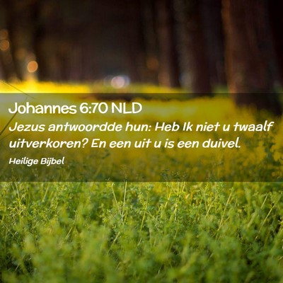 Picture 02 - Johannes 6:70 NLD - Jezus antwoordde hun: Heb Ik niet u twaalf - Bible Verse Picture
