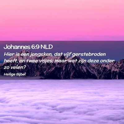 Picture 02 - Johannes 6:9 NLD - Hier is een jongsken, dat vijf gerstebroden - Bible Verse Picture