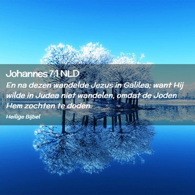 Picture 02 - Johannes 7:1 NLD - En na dezen wandelde Jezus in Galilea; want Hij - Bible Verse Picture
