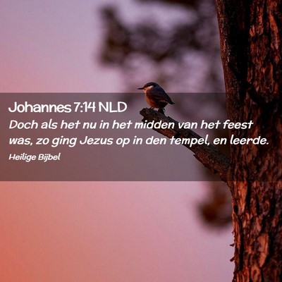 Picture 02 - Johannes 7:14 NLD - Doch als het nu in het midden van het feest was, - Bible Verse Picture