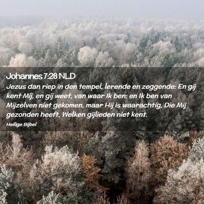 Picture 02 - Johannes 7:28 NLD - Jezus dan riep in den tempel, lerende en - Bible Verse Picture
