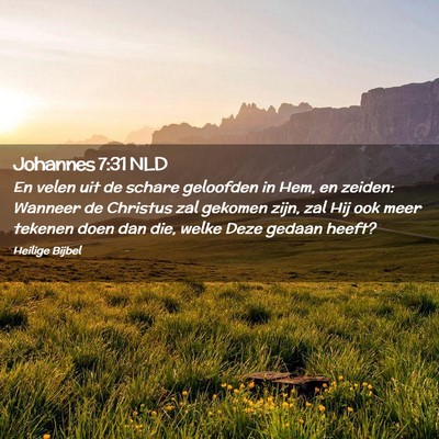 Picture 02 - Johannes 7:31 NLD - En velen uit de schare geloofden in Hem, en - Bible Verse Picture