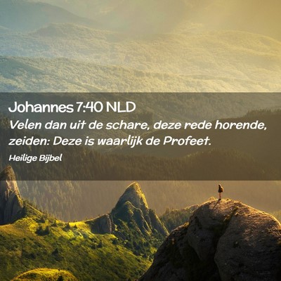 Picture 02 - Johannes 7:40 NLD - Velen dan uit de schare, deze rede horende, - Bible Verse Picture