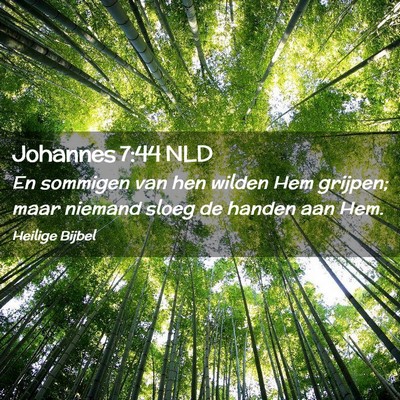 Picture 02 - Johannes 7:44 NLD - En sommigen van hen wilden Hem grijpen; maar - Bible Verse Picture