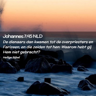 Picture 02 - Johannes 7:45 NLD - De dienaars dan kwamen tot de overpriesters en - Bible Verse Picture