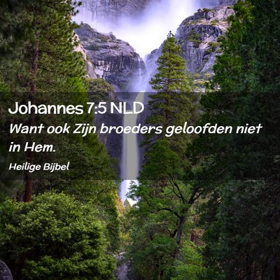Picture 02 - Johannes 7:5 NLD - Want ook Zijn broeders geloofden niet in - Bible Verse Picture