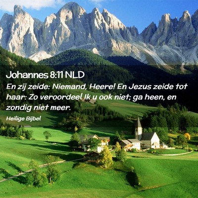 Picture 02 - Johannes 8:11 NLD - En zij zeide: Niemand, Heere! En Jezus zeide tot - Bible Verse Picture