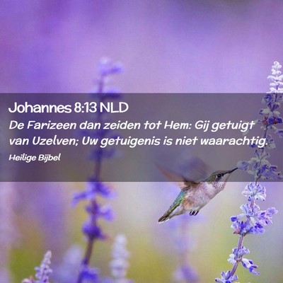 Picture 02 - Johannes 8:13 NLD - De Farizeen dan zeiden tot Hem: Gij getuigt van - Bible Verse Picture