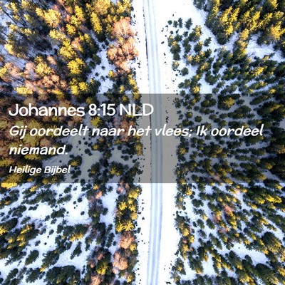 Picture 02 - Johannes 8:15 NLD - Gij oordeelt naar het vlees; Ik oordeel - Bible Verse Picture
