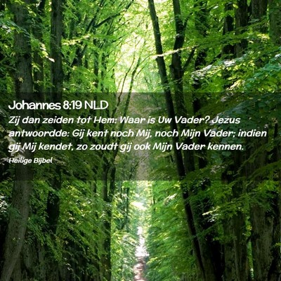 Picture 02 - Johannes 8:19 NLD - Zij dan zeiden tot Hem: Waar is Uw Vader? Jezus - Bible Verse Picture