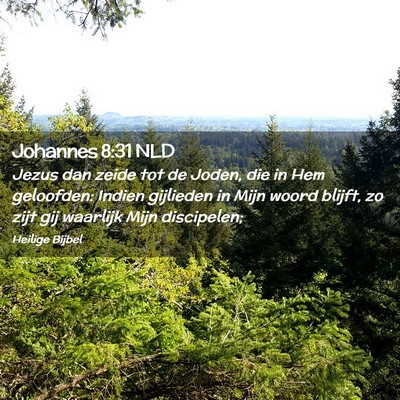 Picture 02 - Johannes 8:31 NLD - Jezus dan zeide tot de Joden, die in Hem - Bible Verse Picture