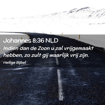 Picture 02 - Johannes 8:36 NLD - Indien dan de Zoon u zal vrijgemaakt hebben, zo - Bible Verse Picture