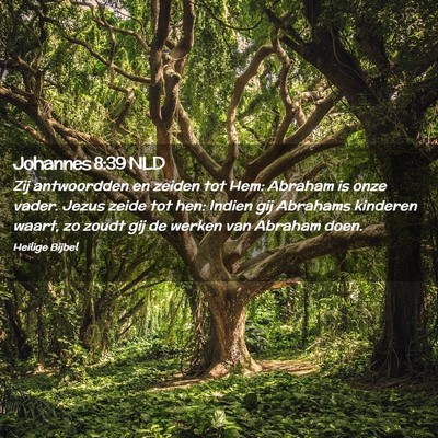 Picture 02 - Johannes 8:39 NLD - Zij antwoordden en zeiden tot Hem: Abraham is - Bible Verse Picture