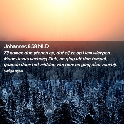 Picture 02 - Johannes 8:59 NLD - Zij namen dan stenen op, dat zij ze op Hem - Bible Verse Picture