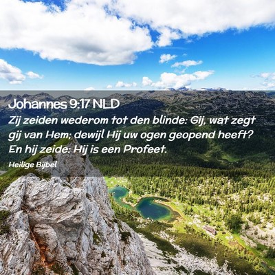 Picture 02 - Johannes 9:17 NLD - Zij zeiden wederom tot den blinde: Gij, wat zegt - Bible Verse Picture