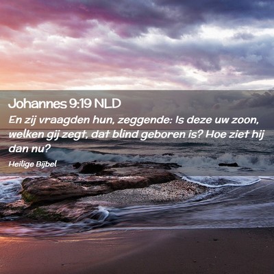 Picture 02 - Johannes 9:19 NLD - En zij vraagden hun, zeggende: Is deze uw zoon, - Bible Verse Picture