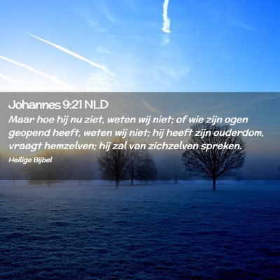 Picture 02 - Johannes 9:21 NLD - Maar hoe hij nu ziet, weten wij niet; of wie zijn - Bible Verse Picture