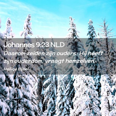 Picture 02 - Johannes 9:23 NLD - Daarom zeiden zijn ouders: Hij heeft zijn - Bible Verse Picture