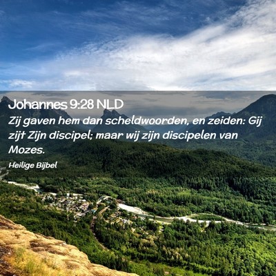 Picture 02 - Johannes 9:28 NLD - Zij gaven hem dan scheldwoorden, en zeiden: Gij - Bible Verse Picture
