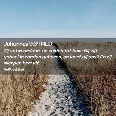 Picture 02 - Johannes 9:34 NLD - Zij antwoordden, en zeiden tot hem: Gij zijt - Bible Verse Picture