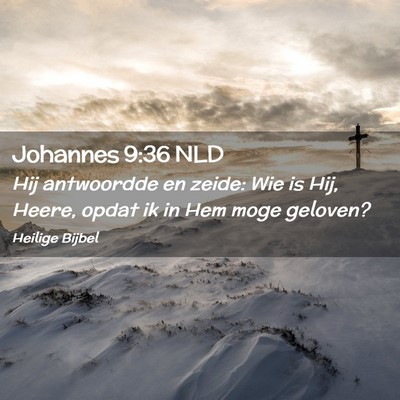 Picture 02 - Johannes 9:36 NLD - Hij antwoordde en zeide: Wie is Hij, Heere, opdat - Bible Verse Picture