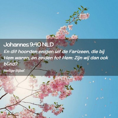 Picture 02 - Johannes 9:40 NLD - En dit hoorden enigen uit de Farizeen, die bij - Bible Verse Picture