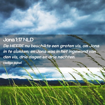 Picture 02 - Jona 1:17 NLD - De HEERE nu beschikte een groten vis, om Jona in - Bible Verse Picture