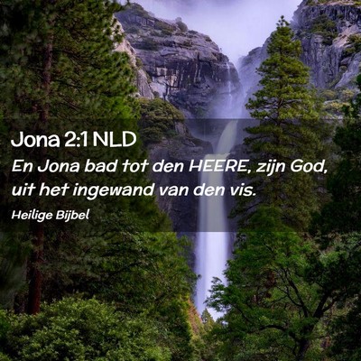 Picture 02 - Jona 2:1 NLD - En Jona bad tot den HEERE, zijn God, uit het - Bible Verse Picture