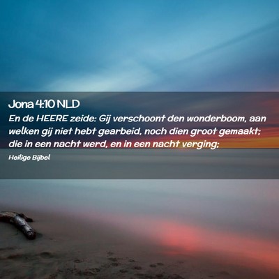 Picture 02 - Jona 4:10 NLD - En de HEERE zeide: Gij verschoont den wonderboom, - Bible Verse Picture