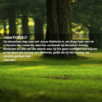 Picture 02 - Jozua 10:28 NLD - Op denzelven dag nam ook Jozua Makkeda in, en - Bible Verse Picture