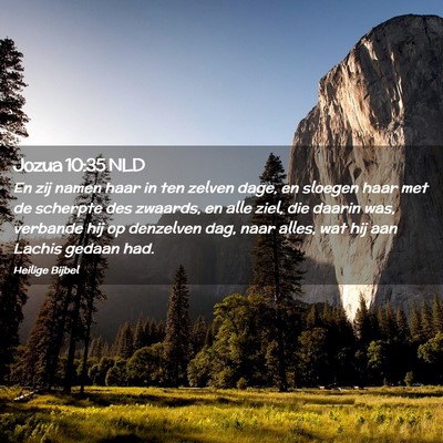 Picture 02 - Jozua 10:35 NLD - En zij namen haar in ten zelven dage, en sloegen - Bible Verse Picture