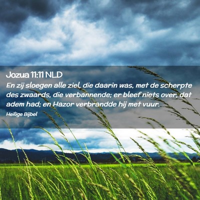 Picture 02 - Jozua 11:11 NLD - En zij sloegen alle ziel, die daarin was, met de - Bible Verse Picture