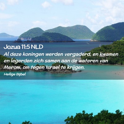 Picture 02 - Jozua 11:5 NLD - Al deze koningen werden vergaderd, en kwamen en - Bible Verse Picture