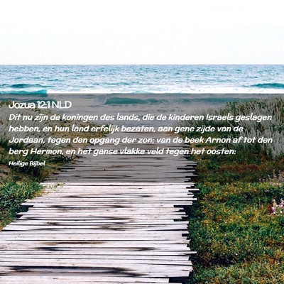 Picture 02 - Jozua 12:1 NLD - Dit nu zijn de koningen des lands, die de - Bible Verse Picture