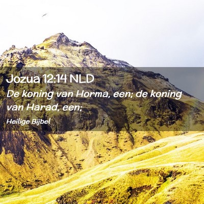 Picture 02 - Jozua 12:14 NLD - De koning van Horma, een; de koning van Harad, - Bible Verse Picture