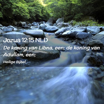 Picture 02 - Jozua 12:15 NLD - De koning van Libna, een; de koning van Adullam, - Bible Verse Picture