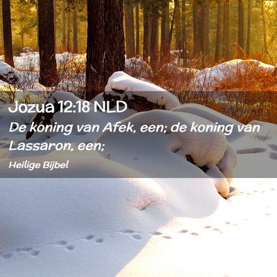 Picture 02 - Jozua 12:18 NLD - De koning van Afek, een; de koning van Lassaron, - Bible Verse Picture