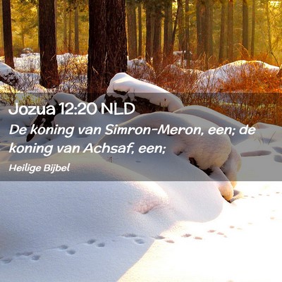 Picture 02 - Jozua 12:20 NLD - De koning van Simron-Meron, een; de koning van - Bible Verse Picture