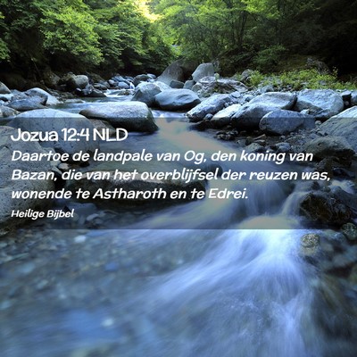 Picture 02 - Jozua 12:4 NLD - Daartoe de landpale van Og, den koning van Bazan, - Bible Verse Picture