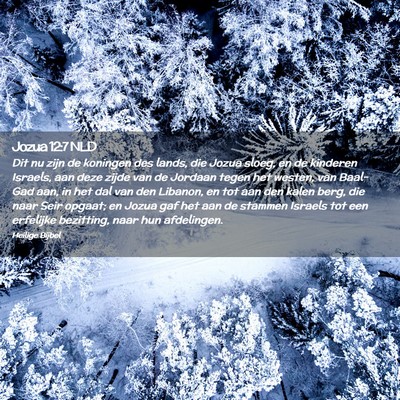 Picture 02 - Jozua 12:7 NLD - Dit nu zijn de koningen des lands, die Jozua - Bible Verse Picture