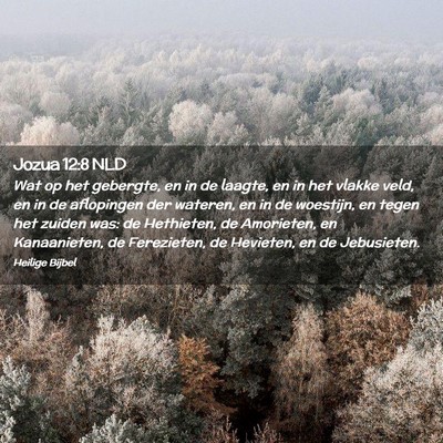 Picture 02 - Jozua 12:8 NLD - Wat op het gebergte, en in de laagte, en in het - Bible Verse Picture