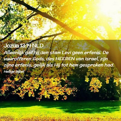 Picture 02 - Jozua 13:14 NLD - Alleenlijk gaf hij den stam Levi geen erfenis. De - Bible Verse Picture