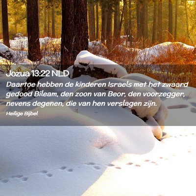 Picture 02 - Jozua 13:22 NLD - Daartoe hebben de kinderen Israels met het zwaard - Bible Verse Picture