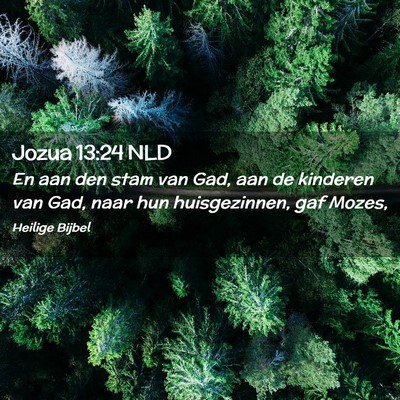 Picture 02 - Jozua 13:24 NLD - En aan den stam van Gad, aan de kinderen van Gad, - Bible Verse Picture