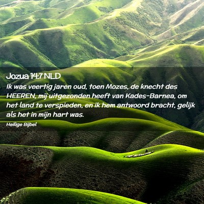 Picture 02 - Jozua 14:7 NLD - Ik was veertig jaren oud, toen Mozes, de knecht - Bible Verse Picture